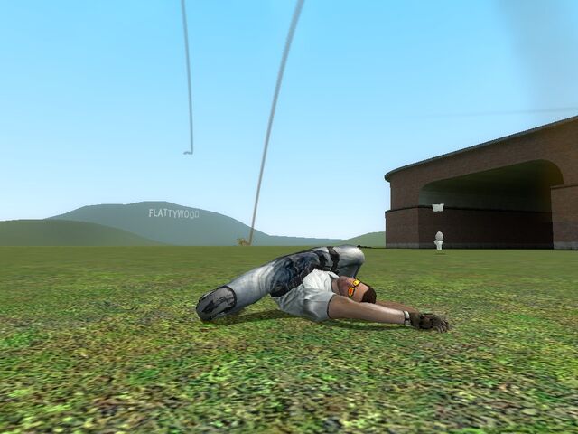Файл:Gm flatgrass0021.jpg