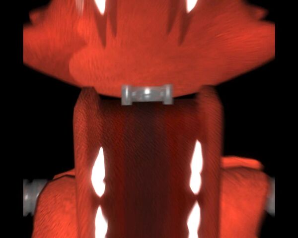 Файл:Freddys0007.jpg