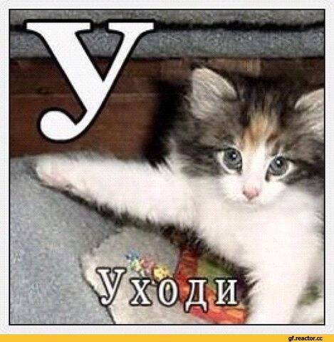 Файл:Ухади.jpg