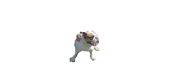 Файл:Соня Б.png
