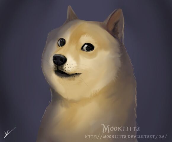 Файл:Doge.jpeg