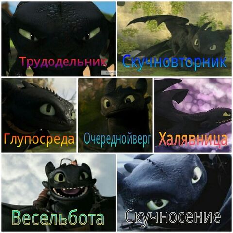 Файл:XFFn83tG7N0.jpg