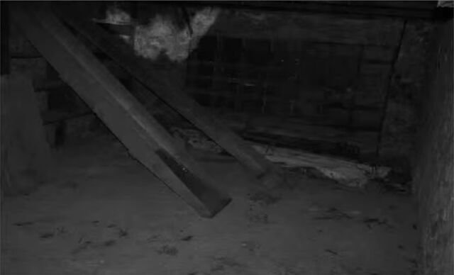 File:Freezing Room.jpg