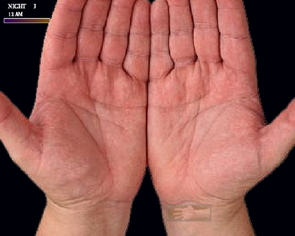 File:Hands.png