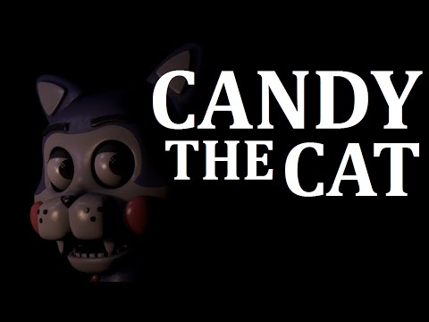 File:CandyTheCat1231.jpg