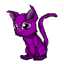 Baby kitten of pride