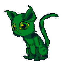 Lesser baby kitten