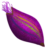 Fabulous seed