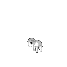 Baby lamb