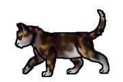 Calliopekit
