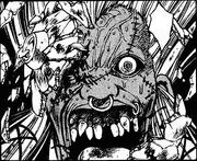 Kadotsu Face