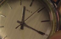 101imex