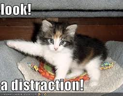 File:Distracting.jpg