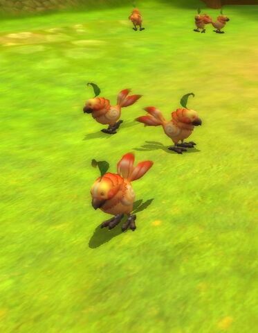 File:Dodo's.jpg