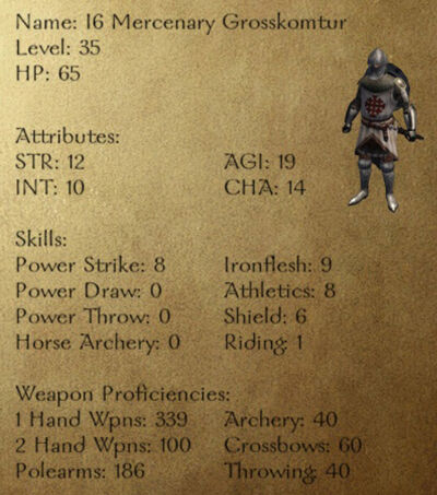 I6 Mercenary Grosskomtur