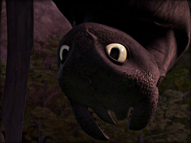 File:Toothless napping upside-down.jpg