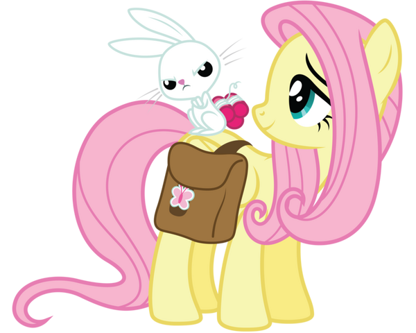 File:Fluttershy and Angel.png