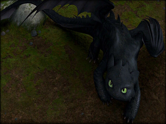 File:Toothless staring upwards.jpg