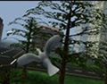 Thumbnail for version as of 20:08, July 9, 2010