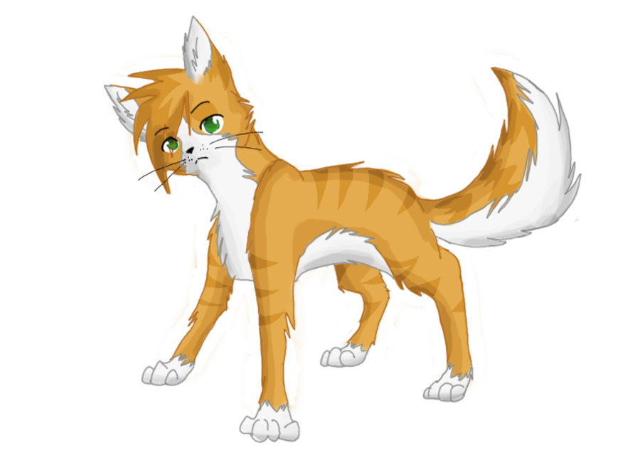 Image - Warrior cats.png | Fly Like a Bird 3 Wiki | FANDOM powered by Wikia