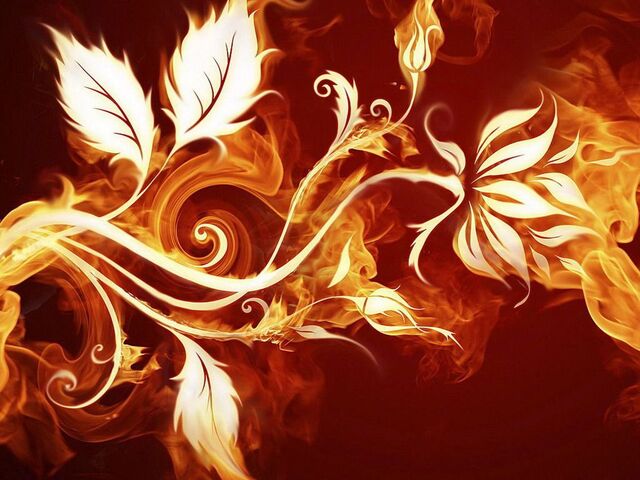 File:Fire flower wallpaper 2-normal.jpg