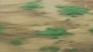 Alchemical-Explosions.gif