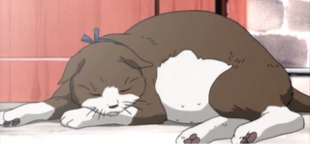 File:Chiko.png