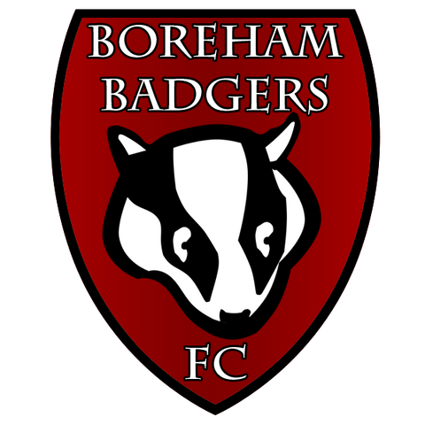 File:BorehamBadgersFC.png