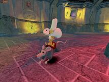 Vince rat