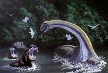 Image-1412522878