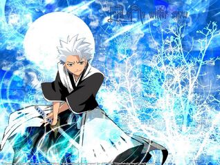 Bleach Hitsugaya Toushiro 3