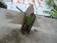 IMG 6862