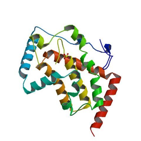 File:1D2T asym r 500.jpg