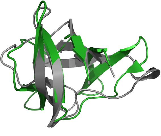Datei:Tr624template b.png