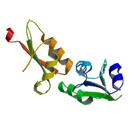 File:4GVB bio r 500.jpg