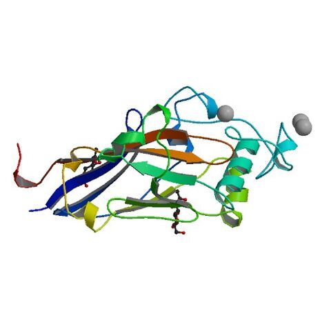 File:1AOL bio r 500.jpg