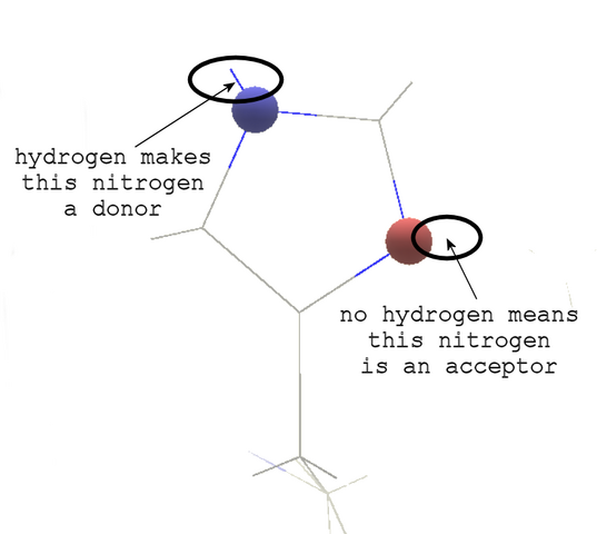 File:Histidine.cpk.lineh.annotated.png
