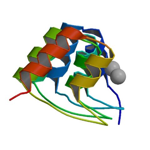 File:1N0R bio r 500.jpg