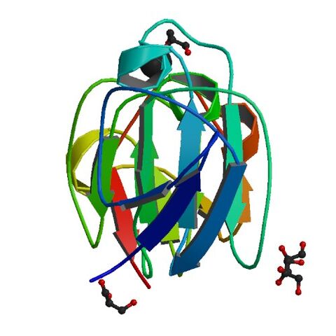 File:4IAU bio r 500.jpg