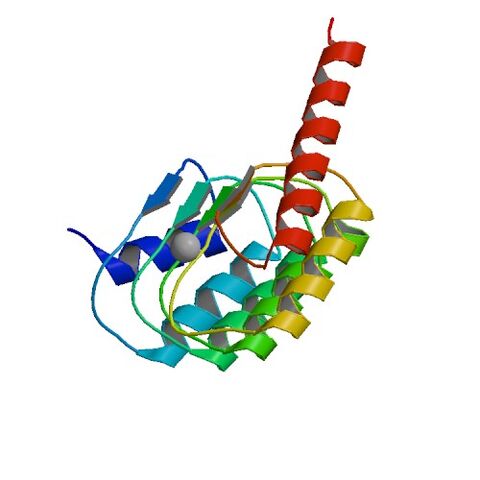File:1IO0 bio r 500.jpg
