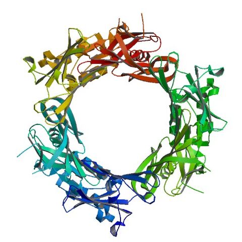 File:1PDJ bio r 500.jpg