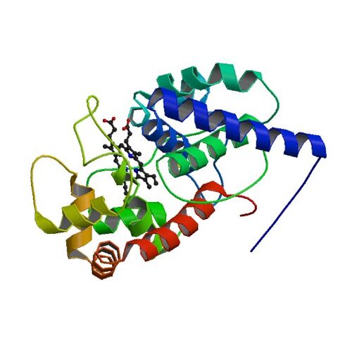 File:1OAG bio r 500.jpg