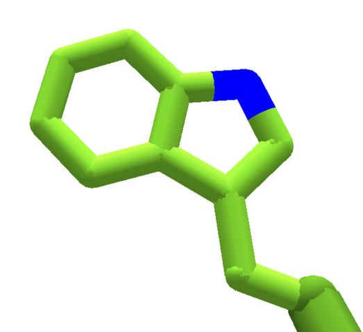 File:Tryptophan.enzdes.png