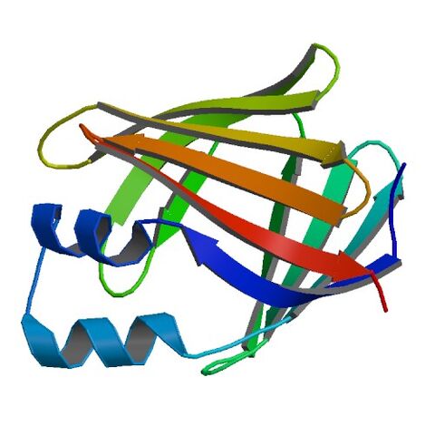 File:1DC9 bio r 500.jpg