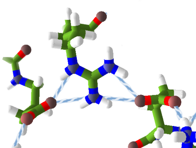 File:HydrogenBondsSidechain.stickh.png