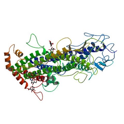 File:1VSG bio r 500.jpg