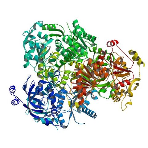 File:4A10 bio r 500.jpg