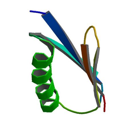 File:2ZW1 bio r 500.jpg