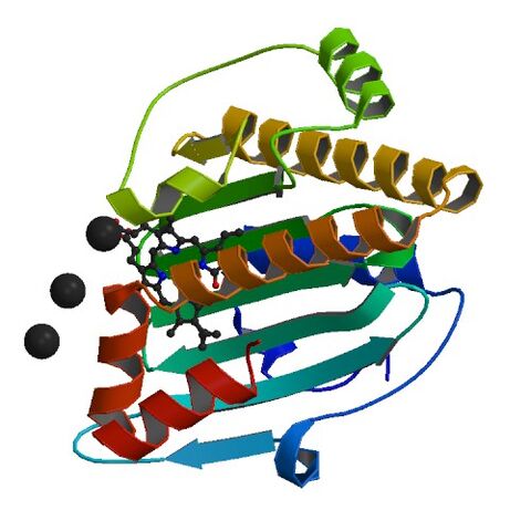 File:4EOE bio r 500.jpg