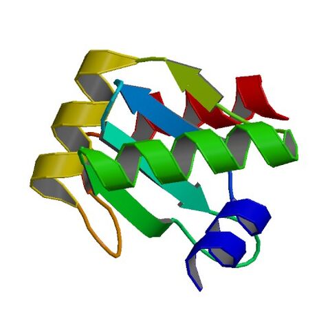 File:3BZS bio r 500.jpg